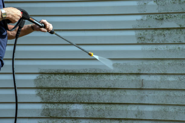 Best Deck Cleaning Services  in Pampa, TX